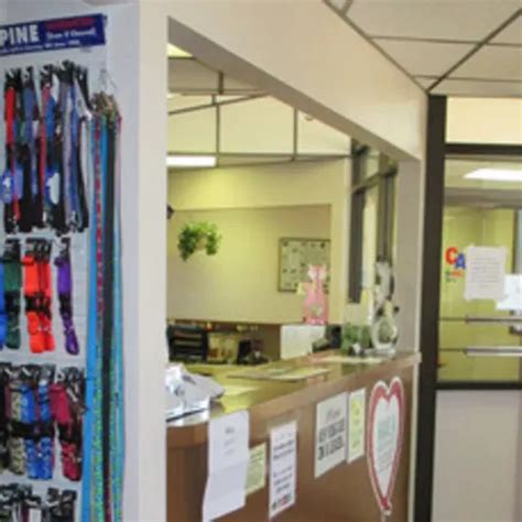 Vet in Carlsbad .
